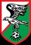 Sokół Kleczew