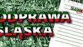 Kolejni obrońcy łączeni ze Śląskiem. Kto za Robaka? #odprawaŚląska