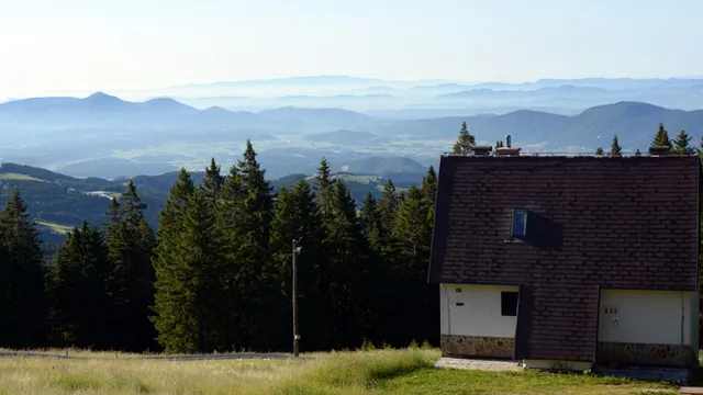 Cisza, spokój, Rogla