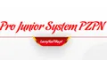 Walkower Śląska w Pro Junior System