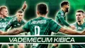 Vademecum Kibica: Śląsk Wrocław
