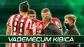 Vademecum Kibica: Cracovia