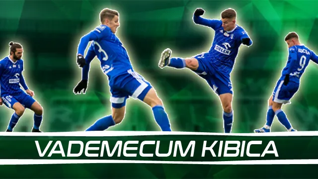 Vademecum Kibica: Wisła Płock