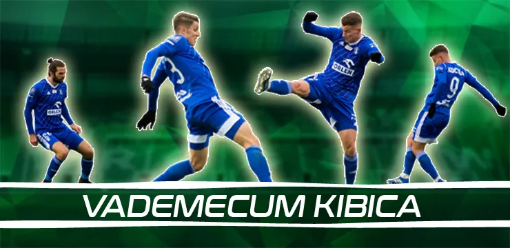 Vademecum Kibica: Wisła Płock
