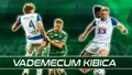 Vademecum Kibica: Lech Poznań