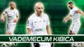 Vademecum Kibica: Warta Poznań