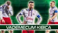 Vademecum Kibica: Podbeskidzie Bielsko-Biała