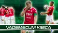 Vademecum Kibica: Wisła Kraków