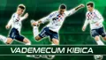 Vademecum Kibica: Górnik Zabrze