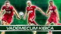 Vademecum Kibica: Piast Gliwice