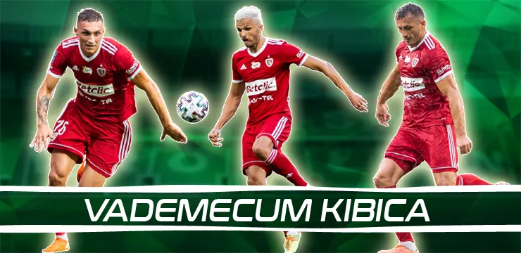 Vademecum Kibica: Piast Gliwice