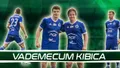 Vademecum Kibica: Stal Mielec