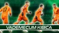 Vademecum Kibica: Zagłębie Lubin