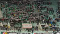 WIDEO: ''Ogórkowy sezon gracie...'' 
