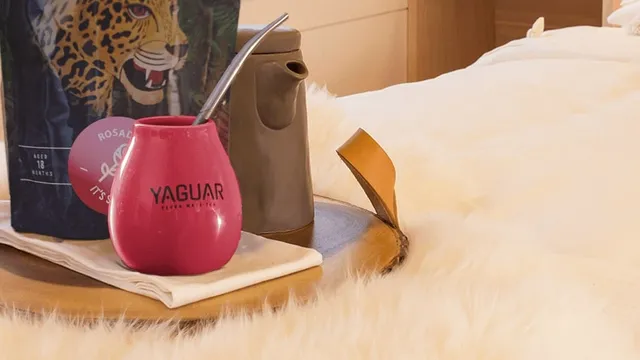 Yerba mate. Egzotyczna i naturalna alternatywa dla kawy i energetyków!