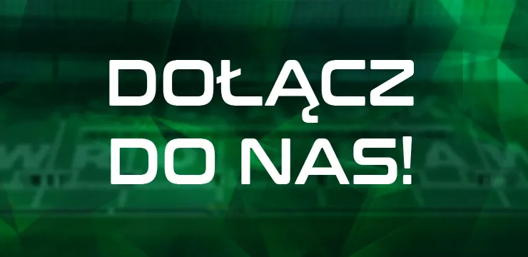 Nabór do Śląsknetu!