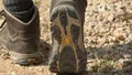 Jak wybrać najlepsze buty trekkingowe?