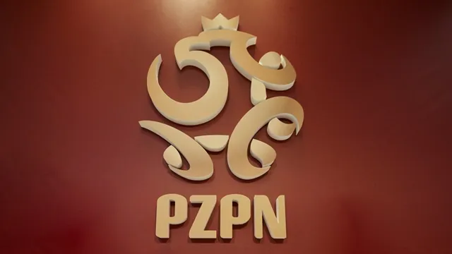 Zawodnik Śląska z powołaniem do reprezentacji juniorów