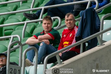 29. kolejka: Śląsk Wrocław 1:1 Wisła Kraków
