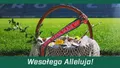 Wesołego Alleluja!