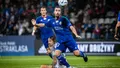 Miedź Legnica - Warta Poznań 1:2