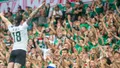 KIBICE: Doping kibiców Śląska na meczu z Rakowem (WIDEO)