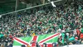KIBICE: ''Nasze serca biją za Śląsk'' - doping w meczu z Koroną