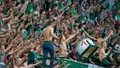 FOTO: Śląsk - Piast (2)