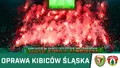 KIBICE: Oprawa kibiców Śląska na meczu z Puszczą (WIDEO)