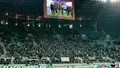 21. kolejka: Śląsk Wrocław 0:1 Stal Mielec (3)