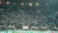 KIBICE: Doping kibiców Śląska w meczu ze Stalą Mielec (WIDEO)