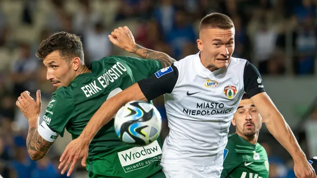 Statystyki nie kłamią: Puszcza Niepołomice