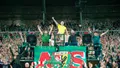 FOTO: Śląsk - Pasy
