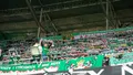 14. Kolejka: Śląsk Wrocław 3:1 Górnik Łęczna (KIBICE)