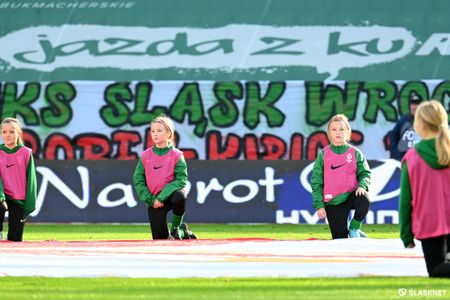 13. Kolejka: Śląsk Wrocław 2:1 Stal Mielec