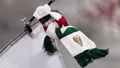 15. Kolejka: ŁKS Łódź 2:1 Śląsk Wrocław