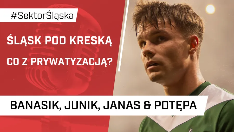 Śląsk pod kreską. Co z prywatyzacją? (PODCAST)