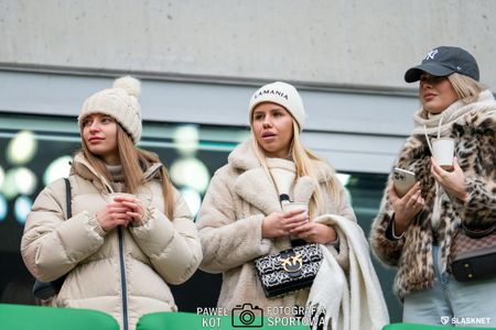 21. kolejka: Śląsk Wrocław 3:0 Widzew Łódź