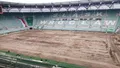 Trwa wymiana murawy na wrocławskim stadionie. Jaki jest jej koszt? 