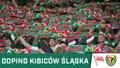 KIBICE: Doping kibiców Śląska w meczu z Cracovią