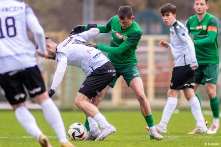 24. kolejka: Śląsk II Wrocław 2:1 Podlesianka Katowice (2)