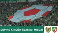 WIDEO: Zgodowy doping kibiców Śląska i Miedzi