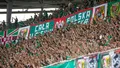 FOTO: Śląsk - GKS Tychy
