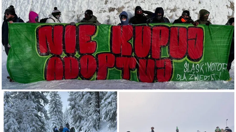 Fani Śląska oraz Motoru promują akcję "Nie kupuj, adoptuj" 