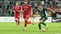 Rywal pod lupą: Miedź Legnica