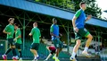 Lechia Zielona Góra - Śląsk Wrocław. Co warto wiedzieć przed meczem?