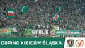 WIDEO: Doping kibiców Śląska w meczu z Widzewem